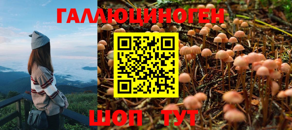 Наро-Фоминск  Псилоцибиновые грибы ЛСД  Вход с VPN 
